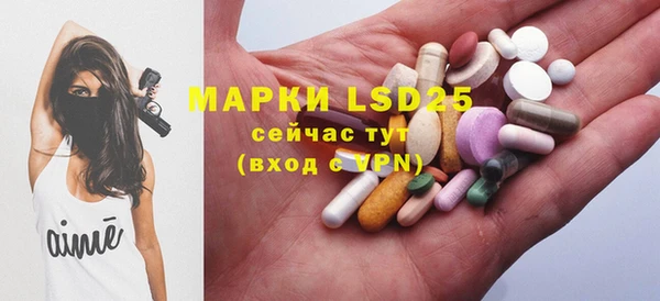 шишки Наволоки