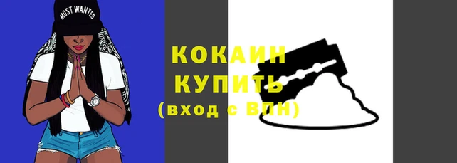 мяу мяу мука Надым