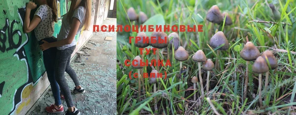 шишки Наволоки