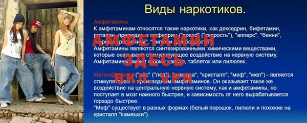 шишки Наволоки