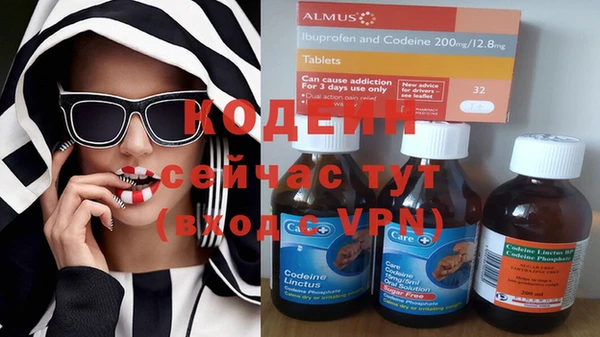 apvp Михайлов